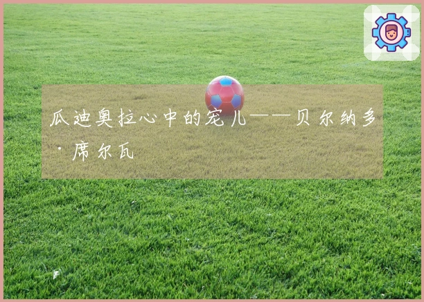 瓜迪奥拉心中的宠儿——贝尔纳多·席尔瓦